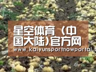 种植基地七