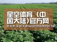 种植基地五