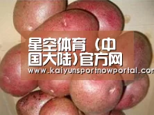 产品展示标题1