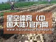 种植基地八