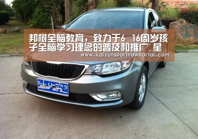 邦树全脑教育,致力于6-16周岁孩子全脑学习理念的普及和推广_星空娱乐(图2) 星空体育